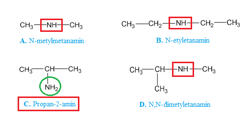 N Metylmetanamin: Tất Cả Những Gì Bạn Cần Biết